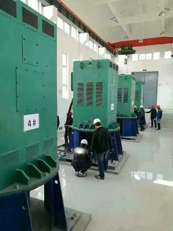 YKK5603-12某污水处理厂使用我厂的立式高压电机安装现场