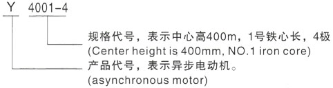 西安泰富西玛Y系列(H355-1000)高压YKK5603-12三相异步电机型号说明